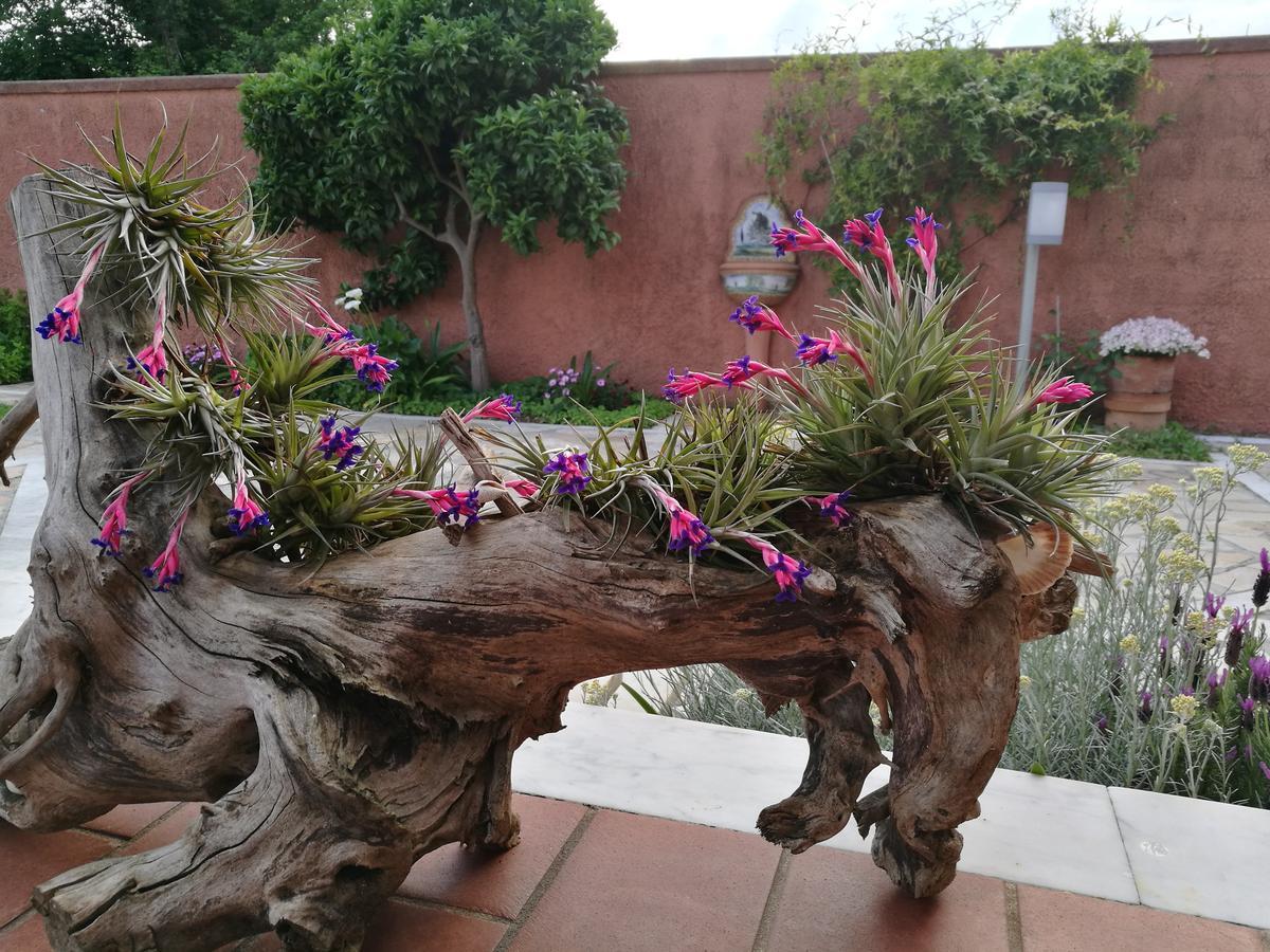 Giusy Bed And Breakfast Marina Di Carrara Exterior foto